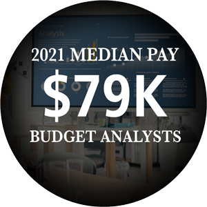 Budget Analysts 2021 Median Pay $79,000